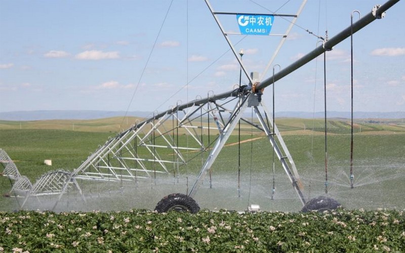 無土栽培，無土栽培技術(shù)，無土栽培設(shè)備