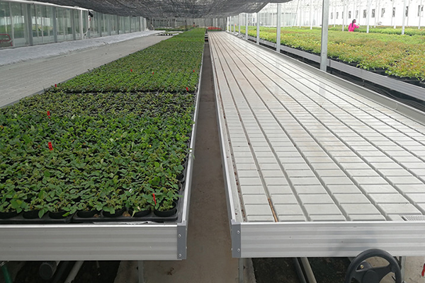 無土栽培，無土栽培技術，無土栽培設備