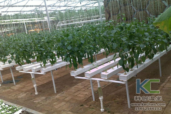 無土栽培，無土栽培技術(shù)，無土栽培設(shè)備