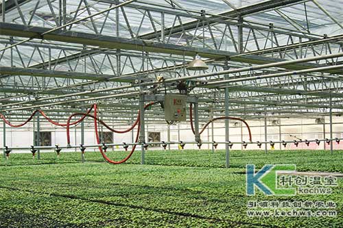 無土栽培，無土栽培技術(shù)，無土栽培設(shè)備