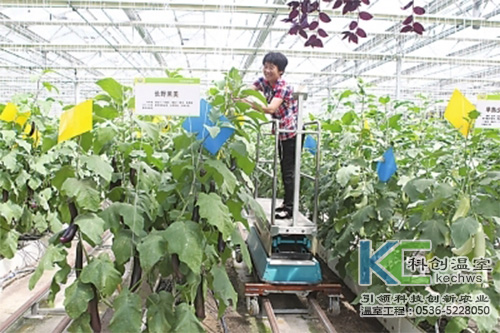 無土栽培，無土栽培技術(shù)，無土栽培設(shè)備