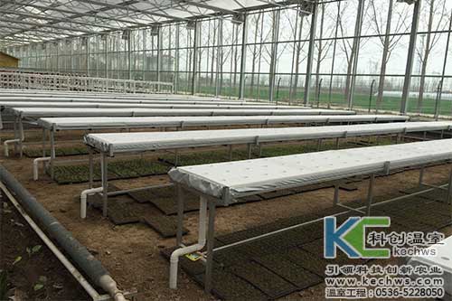 無土栽培，無土栽培技術，無土栽培設備