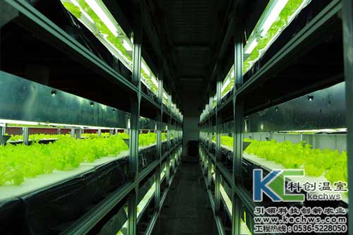 無(wú)土栽培，無(wú)土栽培技術(shù)，無(wú)土栽培設(shè)備