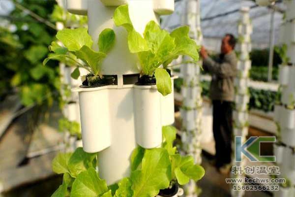 無土栽培，無土栽培技術，無土栽培設備
