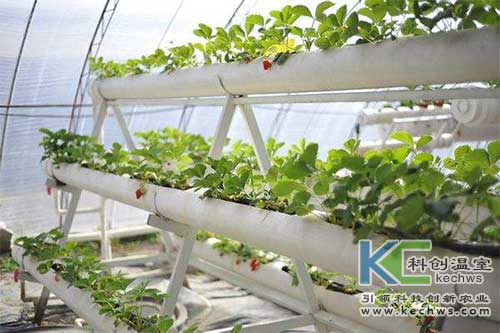 無土栽培，無土栽培技術，無土栽培設備