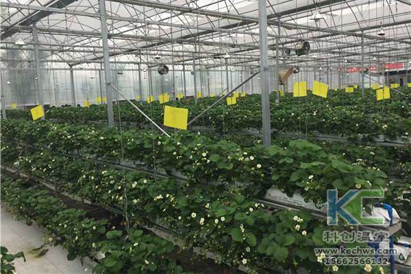 無土栽培，無土栽培技術(shù)，無土栽培設(shè)備