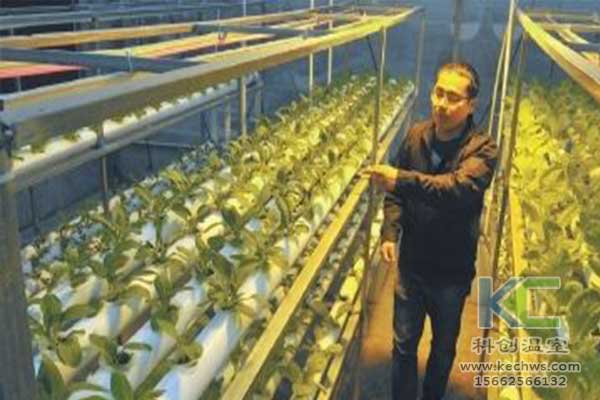 無土栽培，無土栽培技術，無土栽培設備