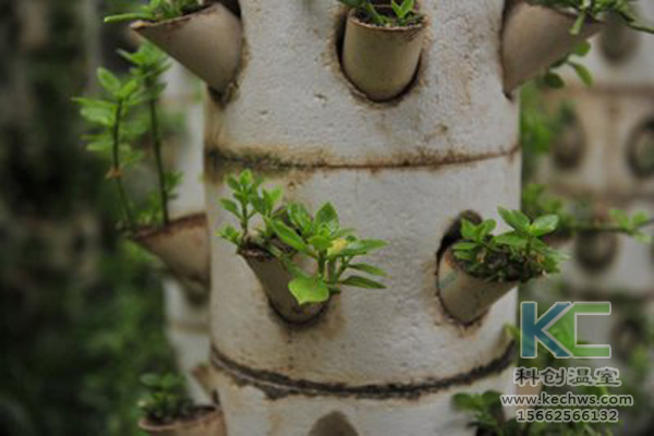 無土栽培，無土栽培技術(shù)，無土栽培設(shè)備