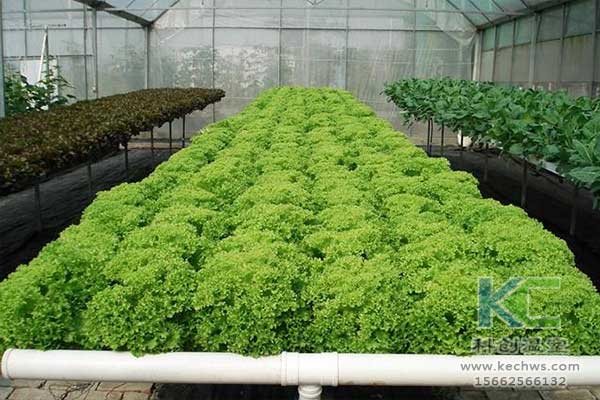 無土栽培，無土栽培技術(shù)，無土栽培設(shè)備