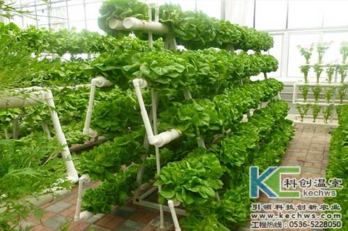 無土栽培，無土栽培技術，無土栽培設備