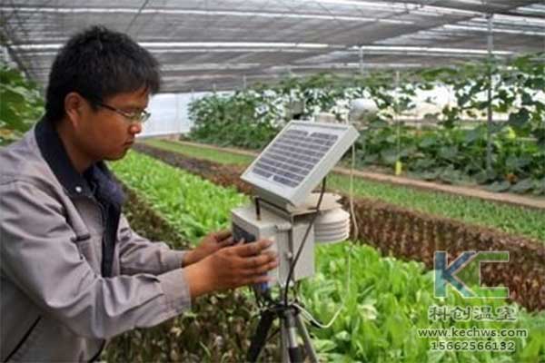 無土栽培，無土栽培技術，無土栽培設備