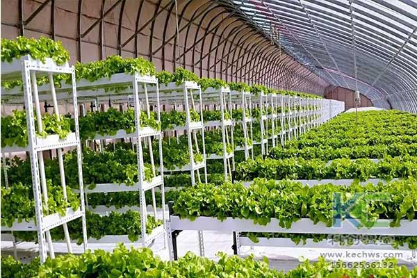 無(wú)土栽培，無(wú)土栽培技術(shù)