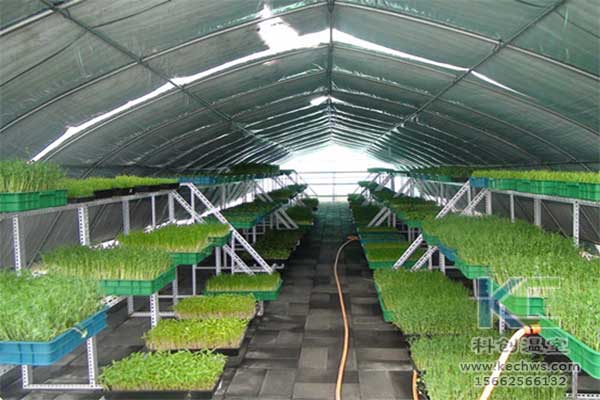 無土栽培，無土栽培技術