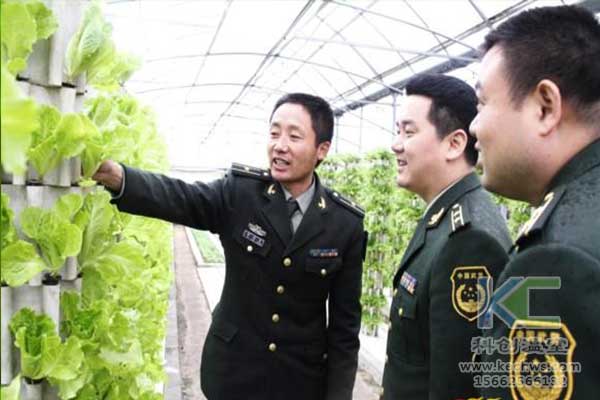 無土栽培，無土栽培技術(shù)，無土栽培設(shè)備