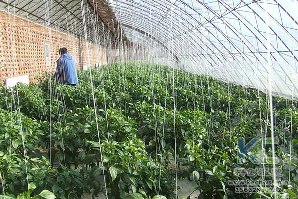 無土栽培，無土栽培基質