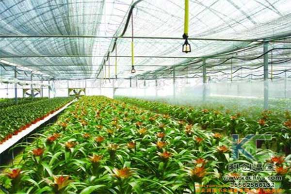 無土栽培，無土栽培技術，無土栽培設備