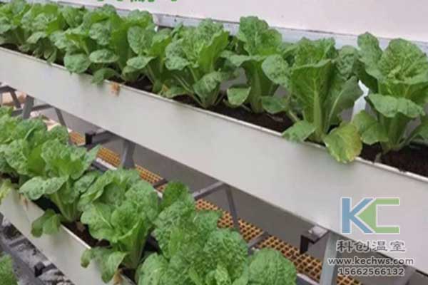 無(wú)土栽培，無(wú)土栽培技術(shù)，無(wú)土栽培設(shè)備
