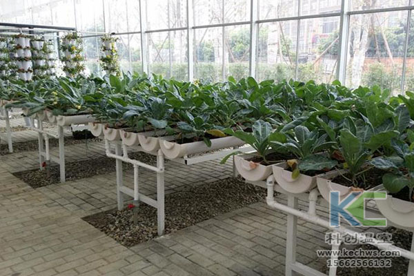 無土栽培，無土栽培技術，無土栽培設備