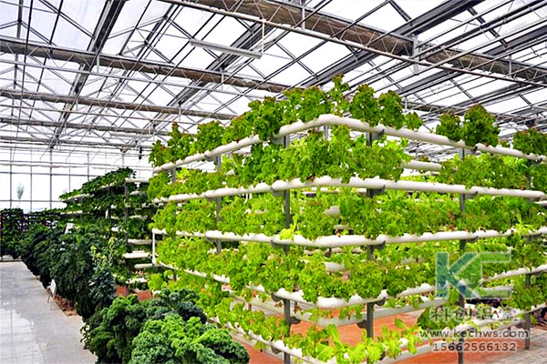 無(wú)土栽培，無(wú)土栽培技術(shù)，無(wú)土栽培設(shè)備