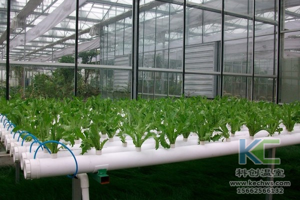 無土栽培技術，無土栽培設備，無土栽培，溫室大棚