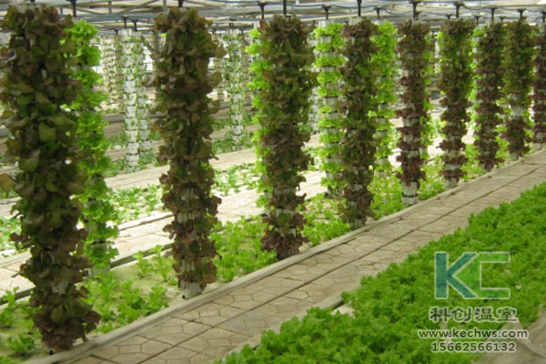 無土栽培，無土栽培技術(shù)，無土栽培設(shè)備
