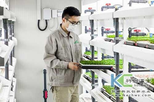 無土栽培，無土栽培技術(shù)，無土栽培設備