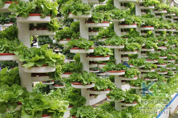 無土栽培技術(shù)，無土栽培設備，無土栽培，溫室大棚