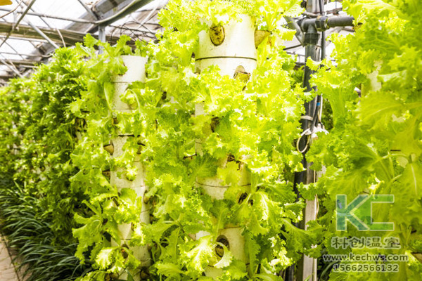 無土栽培，無土栽培技術，無土栽培設備