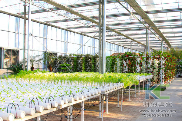 無土栽培，設備，無土栽培設備，設施