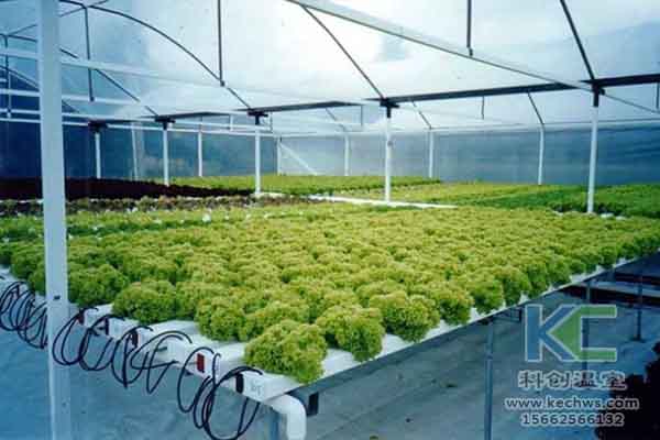 無(wú)土栽培技術(shù)，溫室大棚造價(jià)，無(wú)土栽培，溫室大棚