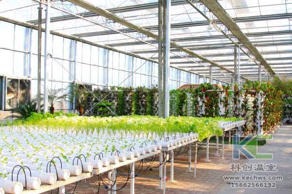 無土栽培，無土栽培技術(shù)，無土栽培設(shè)備，蔬菜栽培