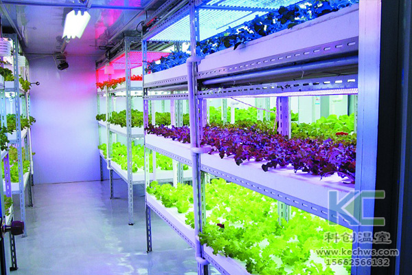 無土栽培技術，無土栽培設備，無土栽培，溫室大棚
