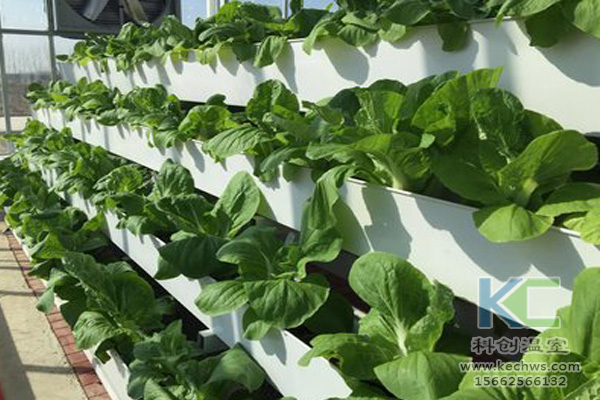 無土栽培技術，無土栽培設備，無土栽培，溫室大棚