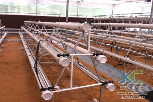 魚菜共生系統(tǒng)，無土栽培技術(shù)，無土栽培，溫室大棚