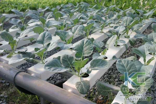 無土栽培，無土栽培技術，無土栽培設備