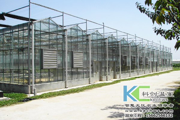 無(wú)土栽培，無(wú)土栽培技術(shù)，無(wú)土栽培設(shè)備