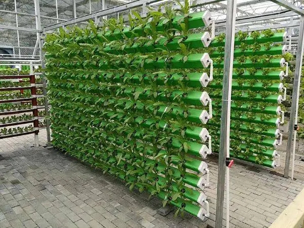 無土栽培，無土栽培技術，無土栽培設備