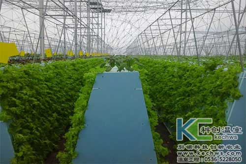 無土栽培，無土栽培技術(shù)，無土栽培設(shè)備