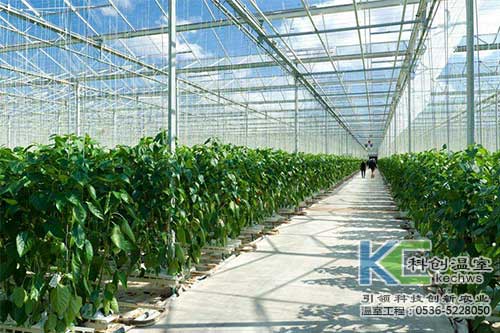 無土栽培，無土栽培技術，無土栽培設備