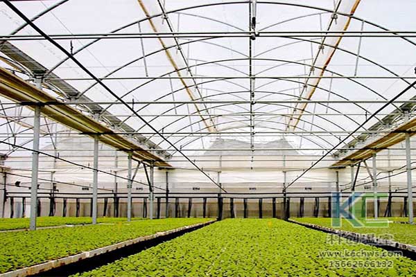 無土栽培，無土栽培技術，無土栽培設備