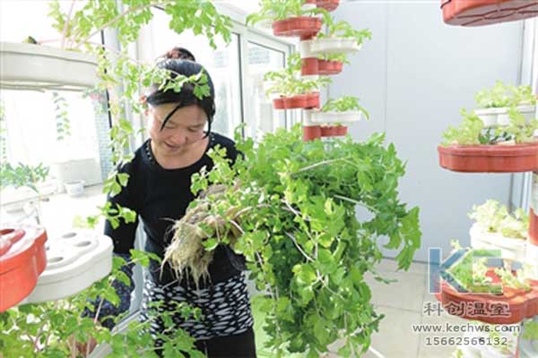 無(wú)土栽培，無(wú)土栽培基質(zhì)