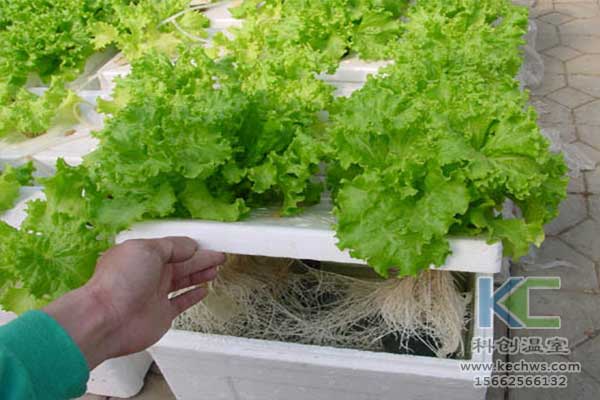 無土栽培，無土栽培技術，無土栽培設備