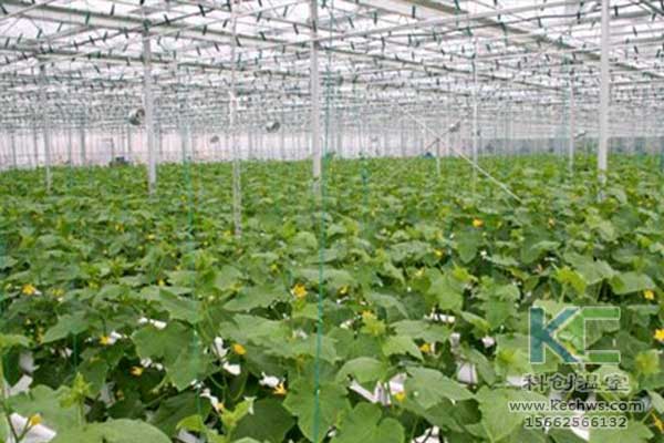 無土栽培，無土栽培技術(shù)，無土栽培設(shè)備