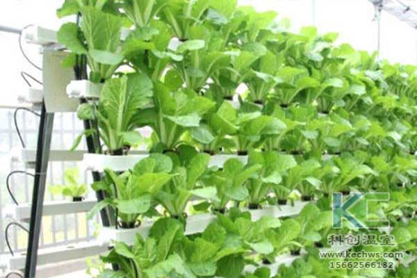 無(wú)土栽培，無(wú)土栽培技術(shù)，無(wú)土栽培設(shè)備