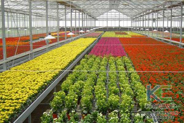 無土栽培，無土栽培技術(shù)，無土栽培設(shè)備