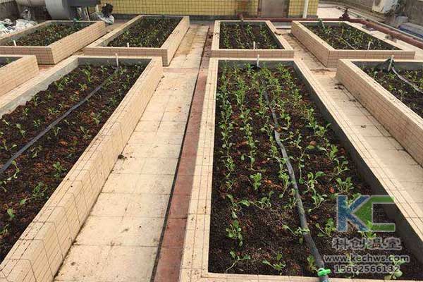 無土栽培，無土栽培技術(shù)，無土栽培設(shè)備