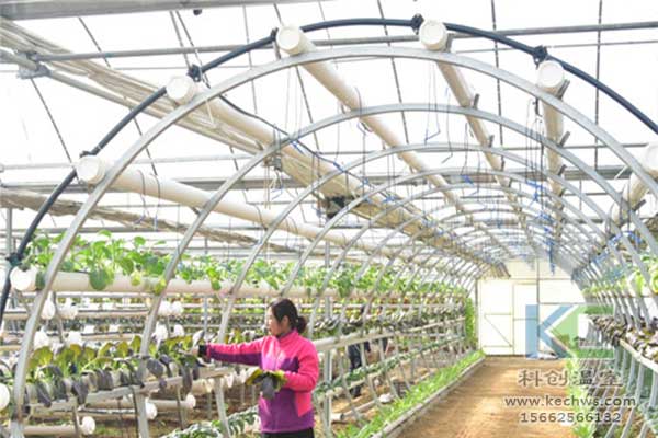 無土栽培，無土栽培技術(shù)，無土栽培設(shè)備