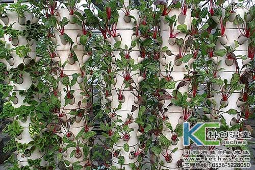 無土栽培，無土栽培技術，無土栽培設備