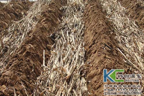 無土栽培，無土栽培技術，無土栽培設備