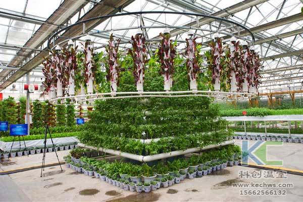 無土栽培，無土栽培技術(shù)，無土栽培設(shè)備